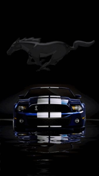 fordmustang