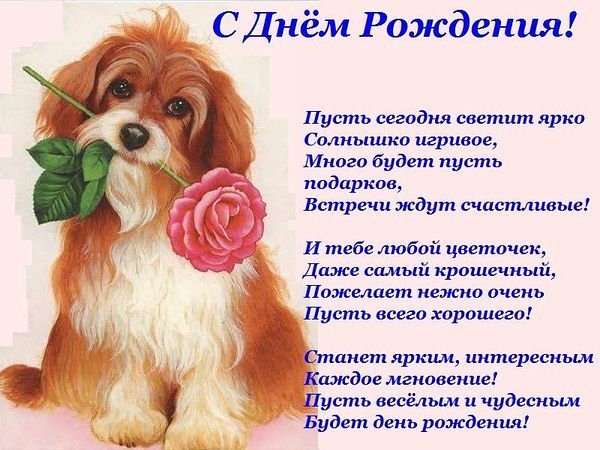 С днём рождения