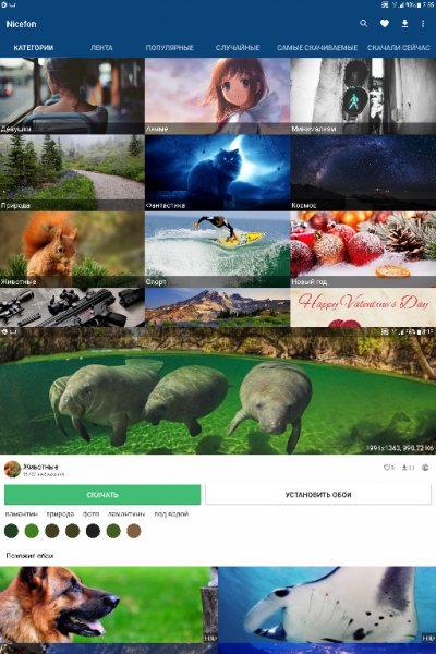 Nicefon v1.0.10(11) MOD
