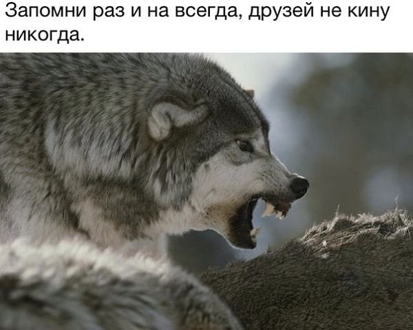 qSdWeubiW99B. 000