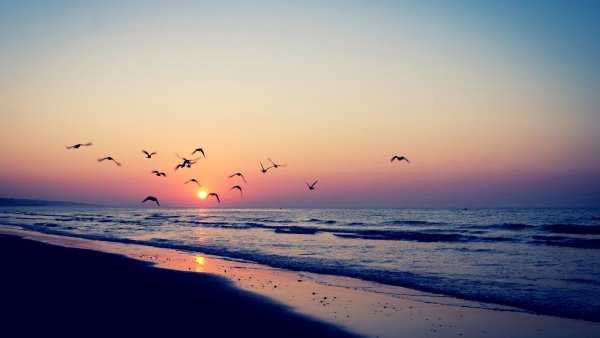 file_68892310