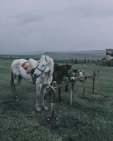 M8HlI kUmK4