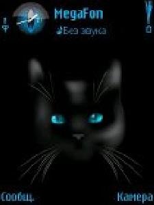 Чёрный кот.blackcat yi