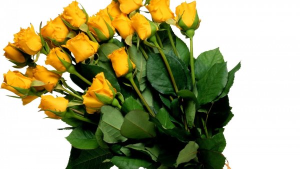 Image (68)