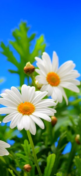 file_97951630