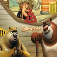 Bear Brothers