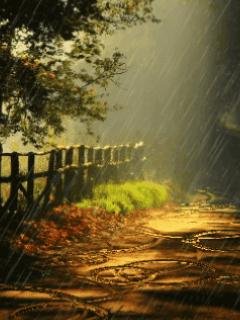Animated Rain