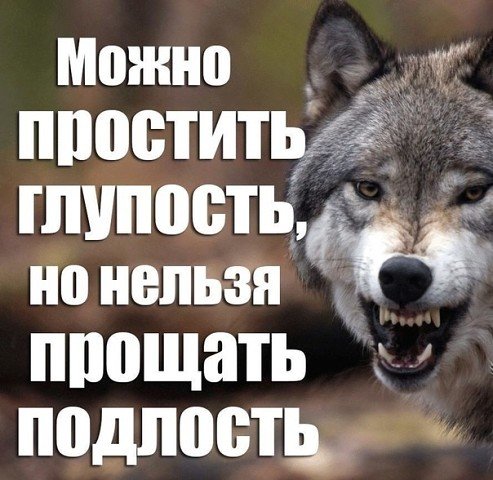 Волк