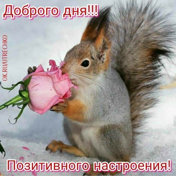 file_80024331
