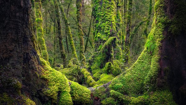 Lock2023-b43 fiordlandnewzealand gettyimages 1920x1080