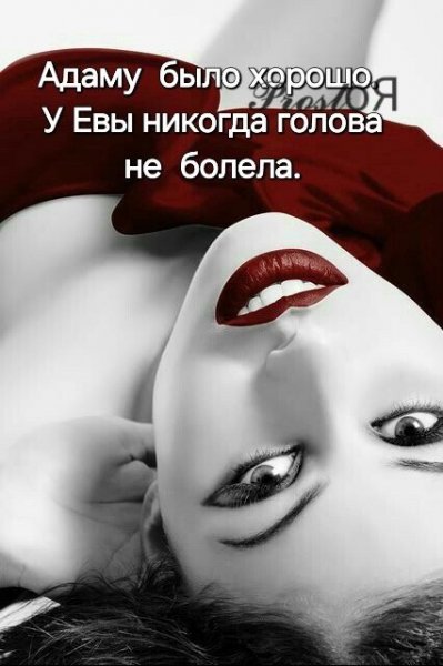 B7cd3ccab68c50b2bb539f540447ae34