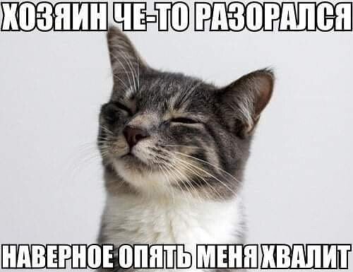file_90319463