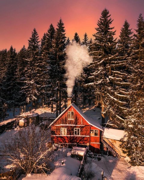 file_95704698