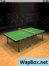 Table Tennis Star