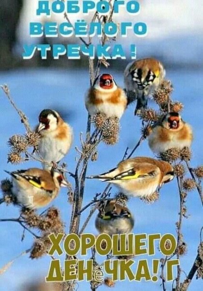file_91880478