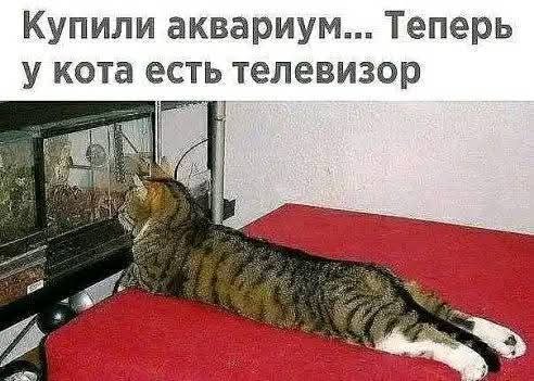FB IMG 1743791922892