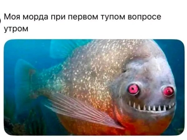 file_103322890