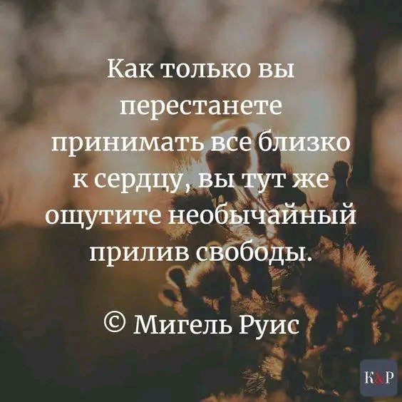 file_95958299