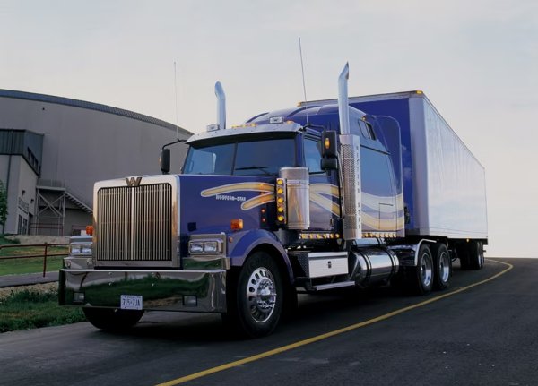 WESTERN STAR 4900 EX (2003г.)