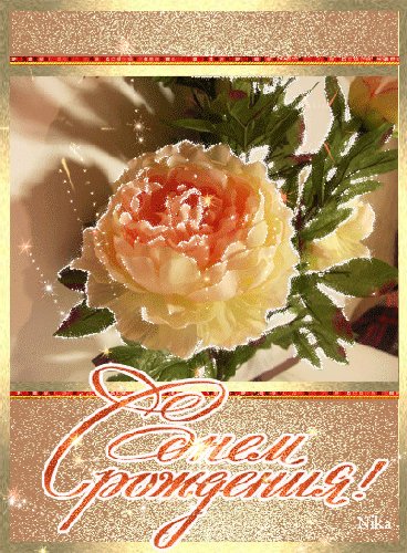 День Рождения 059