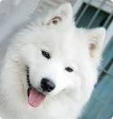 images(9)