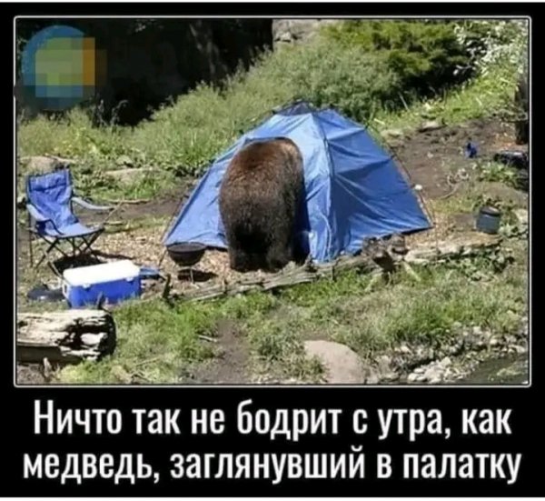 file_103296663
