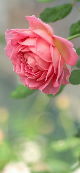 file_91980155