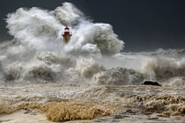 vaselin-malinov-photographer