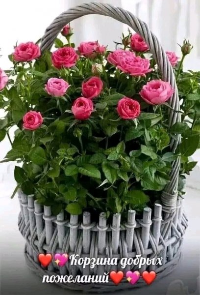 file_96918072