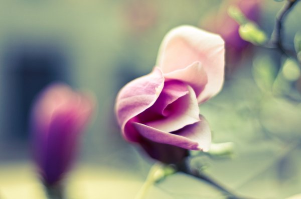 Img (31)