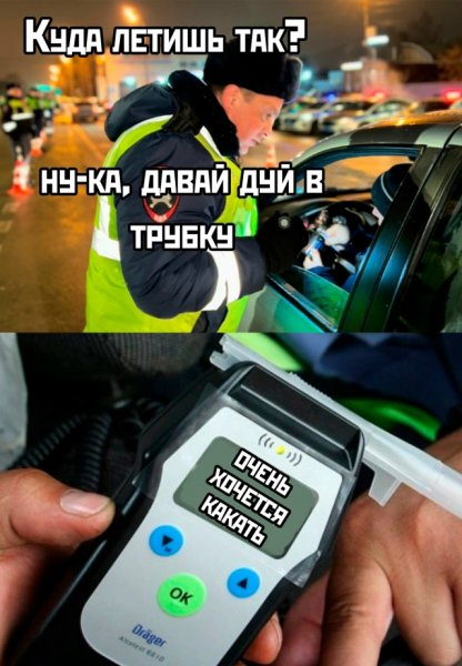 file_101823764