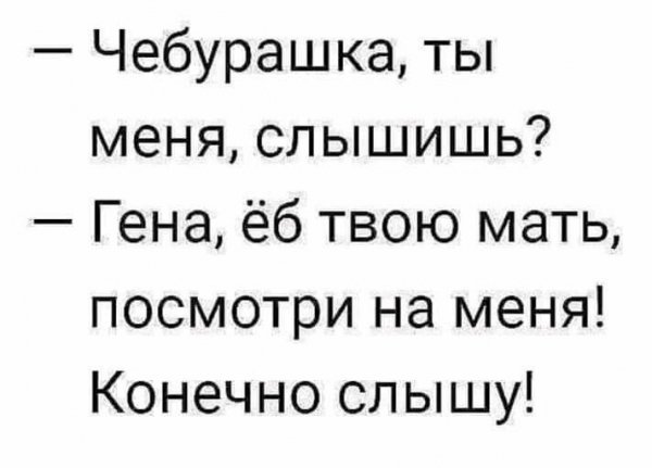 Чебурашка, ты меня слышишь
