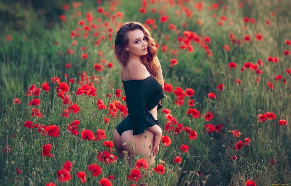 x1440 1578341 [www.ArtFile.ru]