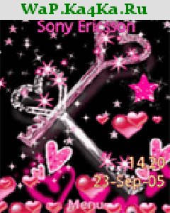 theme484511