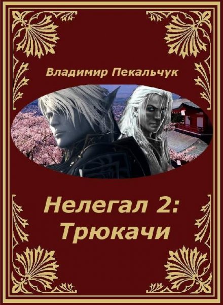 Пекальчук Владимир Нелегал-2. Трюкачи