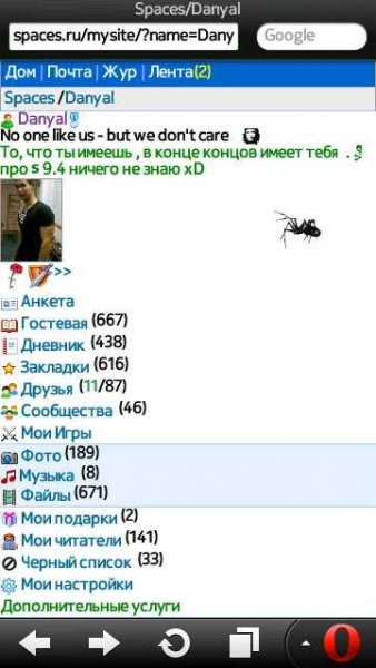 Spider