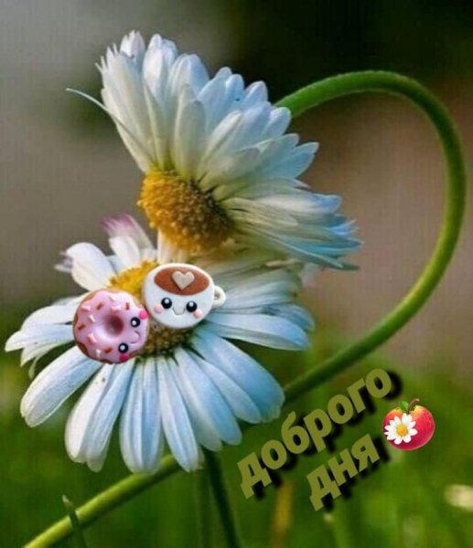 file_93667129