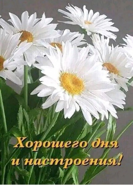 file_93878693