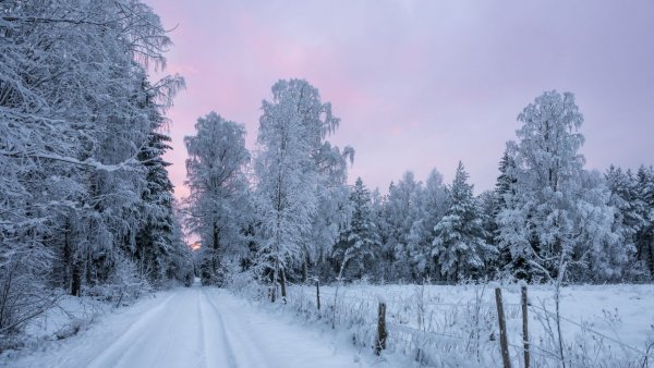 file_96285207