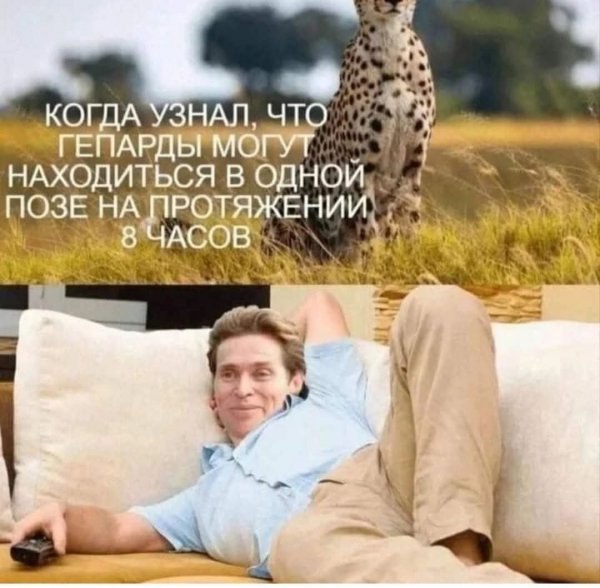 FB IMG 1775153782422