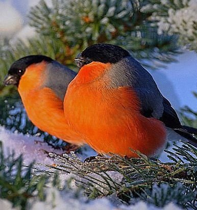 file_75380023