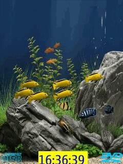 theme 574