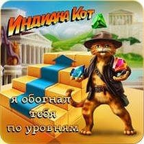 Инди кот чит к игре в контакте