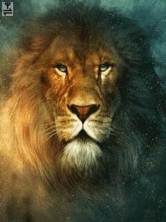 Lion лев анимация