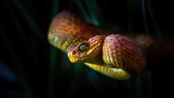 file_91518338