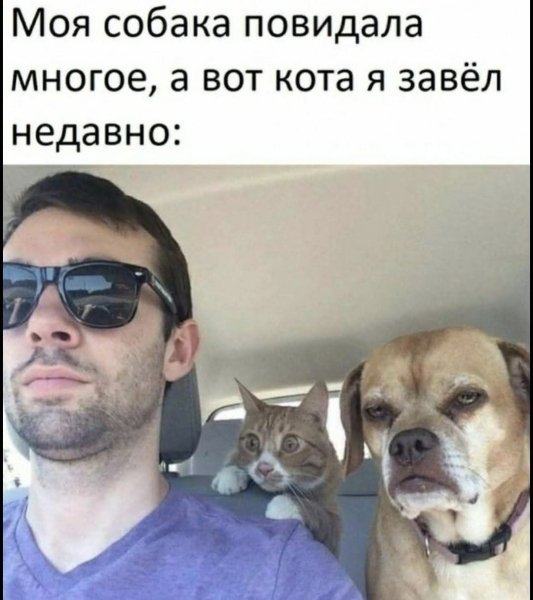 FB IMG 1779989259851
