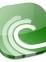 BitTorrent