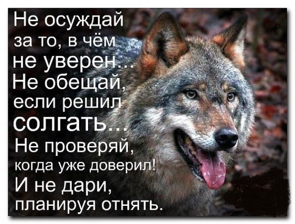 Со смыслом