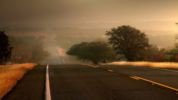 file_77381958