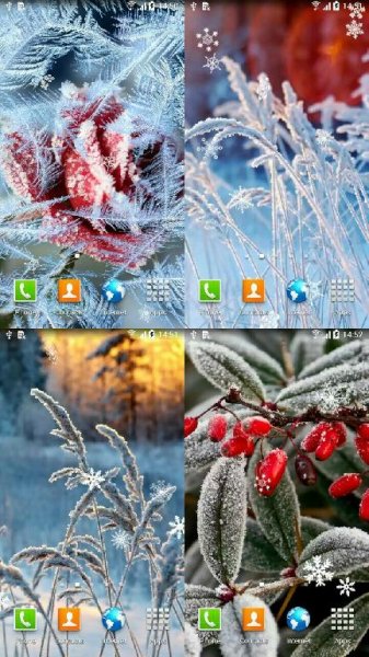 Зимние Цветы - v.1.0.3
